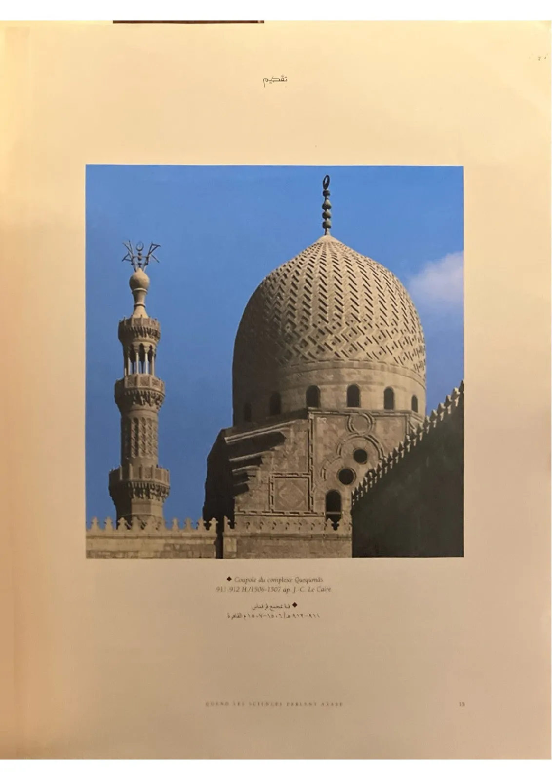 عندما-تكلم-العلم-العربية_311383681646556701019