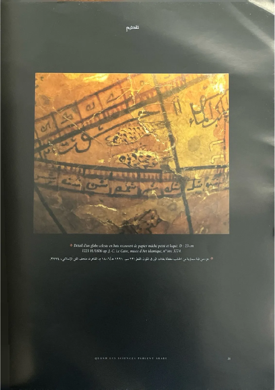 عندما-تكلم-العلم-العربية_5298093199712159839