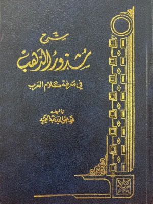 شرح شذور الذهب في معرفة كلام العرب