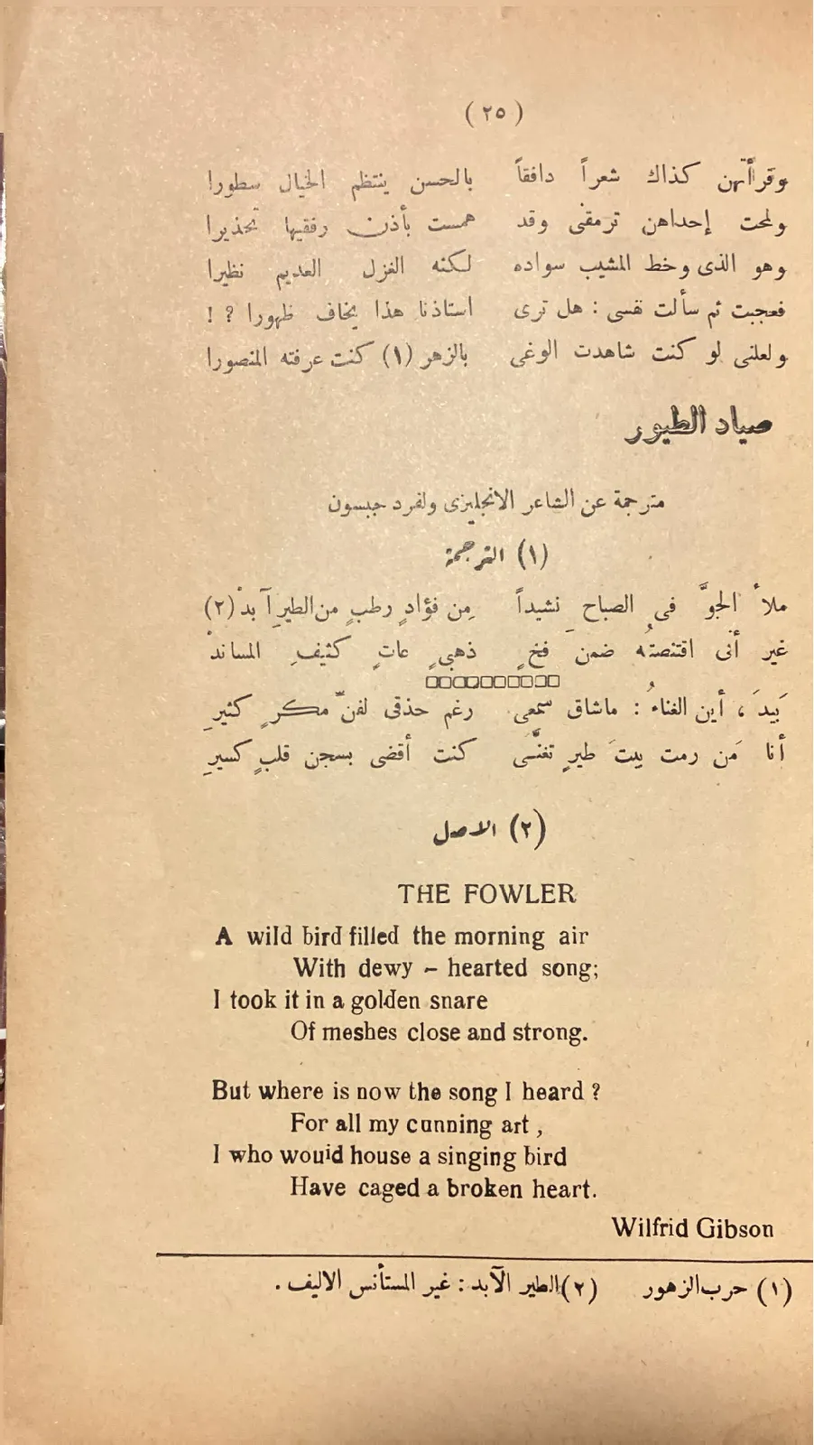 اشعة-وظلال-احمد-زكي-ابو-شادي_284513894303630214019