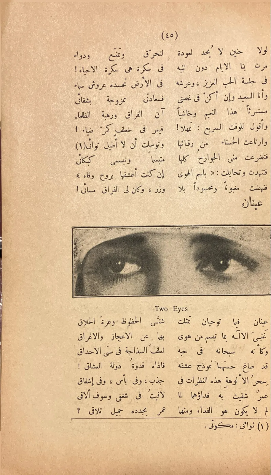 اشعة-وظلال-احمد-زكي-ابو-شادي_3017153022732329859485